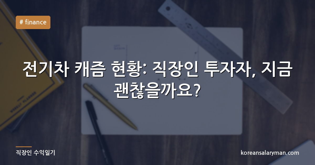 전기차 캐즘 현황: 직장인 투자자, 지금 괜찮을까요?